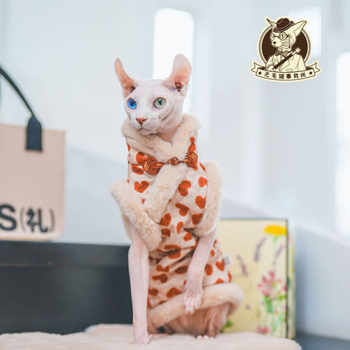 无毛猫秋冬新年大红旗袍裙马甲