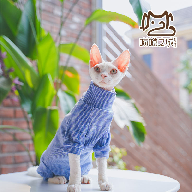 2023年秋冬加厚无毛猫德文猫衣服保暖德绒条纹长袖包肚四脚衣包邮