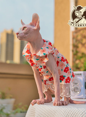 德文猫衣服无毛猫纯棉抗皱重工蕾丝飞飞袖连衣裙公主风蓬蓬裙包邮