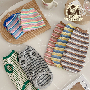 25夏季 背心 无毛猫德文猫纯棉坑条柔软透气高弹多巴胺条纹休闲短袖