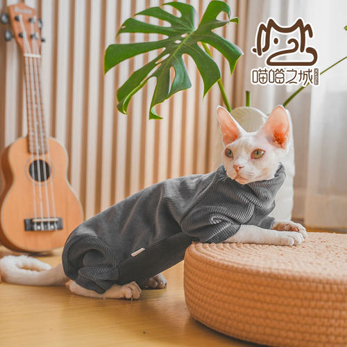 无毛猫秋冬加厚包暖双面绒四脚衣