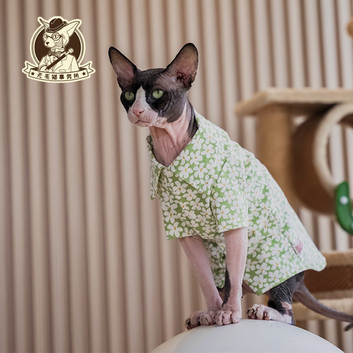 宠物猫咪幼猫沙滩风衬衫无毛猫德文布偶猫纯棉耐舔清新短袖空调衫