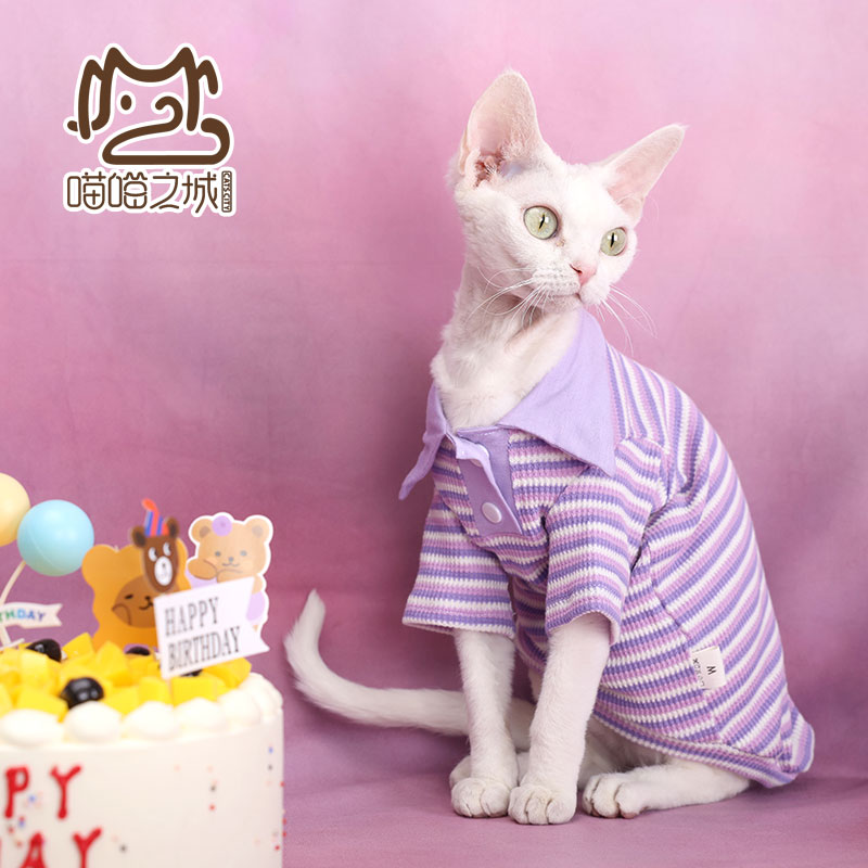 无毛猫夏季纯棉透气条纹Polo衫