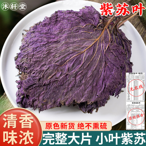 野生紫苏叶250g天然苏子叶干泡茶烧鱼虾蟹去腥香料泡茶中药材正品