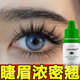 睫毛营养液浓密卷翘纤长滋润毛囊乌黑自然卷翘眉毛液睫毛膏滋润液