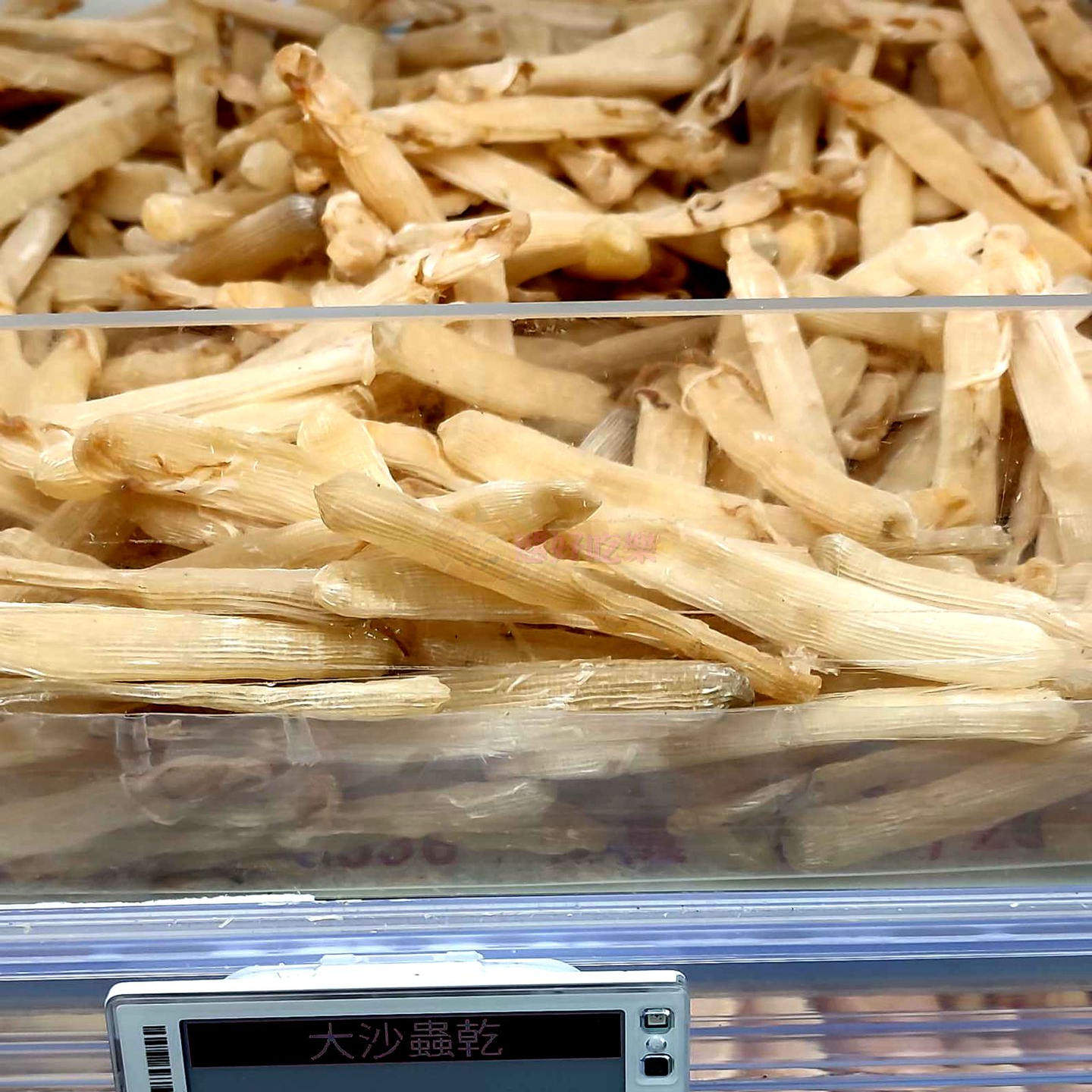 香港代购安记海味海味沙虫干滋补品煲汤材料海鲜干货300g半斤海肠