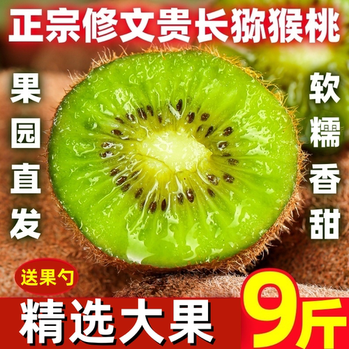 修文贵长猕猴桃9斤大果礼盒装