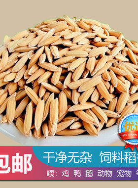 农家优质饲料稻谷50斤批发