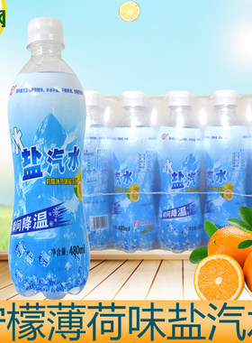 太钢盐汽水480ml柠檬薄荷味