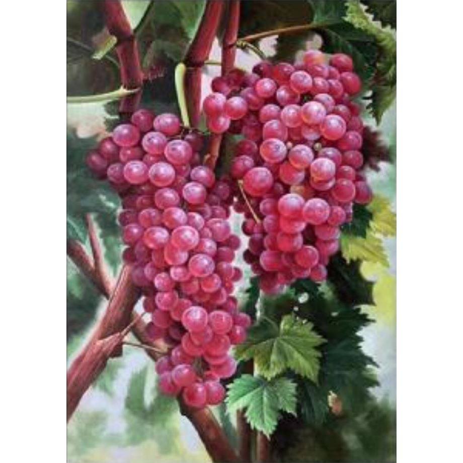 钻石绣2024年新款满钻DIY客厅餐厅砖石秀葡萄点钻十字绣,居家布艺,钻石绣,淘宝优惠券,粉丝福利购,淘宝优惠卷