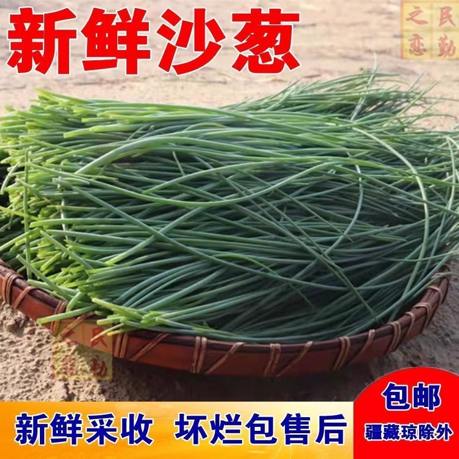 【顺丰包邮】甘肃新鲜沙葱野菜沙葱直供店批发,水产肉类/新鲜蔬果/熟食,葱类,淘宝优惠券,粉丝福利购,淘宝优惠卷