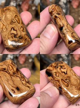 天然保真血柳海柳文玩吊坠挂件