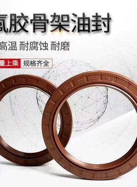 60*100*10氟胶油封 60X100X12 60.100.13耐高温耐腐蚀耐磨6010012