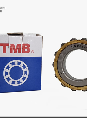 TMB天马减速机轴承RN205 206 204 307 309 207M