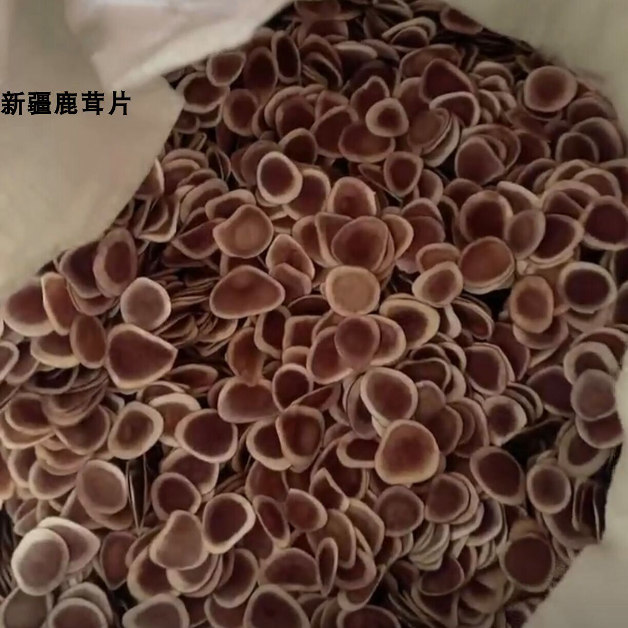 新疆鹿茸片泡酒中药材鹿角小片熬汤男女砍角涵血茸角片煲汤新割茸