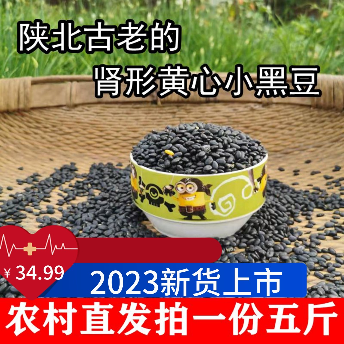 肾形黑豆陕北农家自种老品种非转基因黄芯黑小豆打豆浆发豆芽5斤