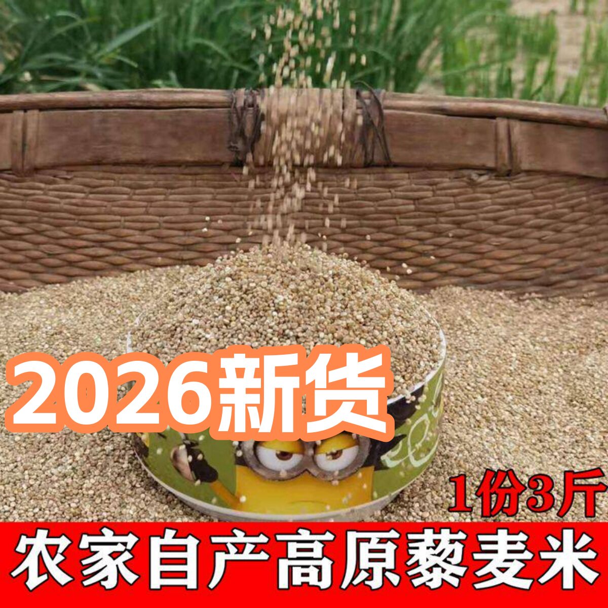 新米3斤白藜麦米饭青海 陕北红黑藜麦农家自产五谷杂粮粗杂粮