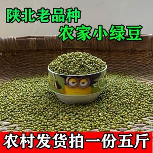 2025新绿豆汤陕北农家自产发芽大明绿豆解暑小绿豆粥优质粗粮5斤