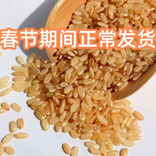 洋县糙米5斤农家自产硬米胚芽大米新稻米无抛光可粥可饭主食糙米