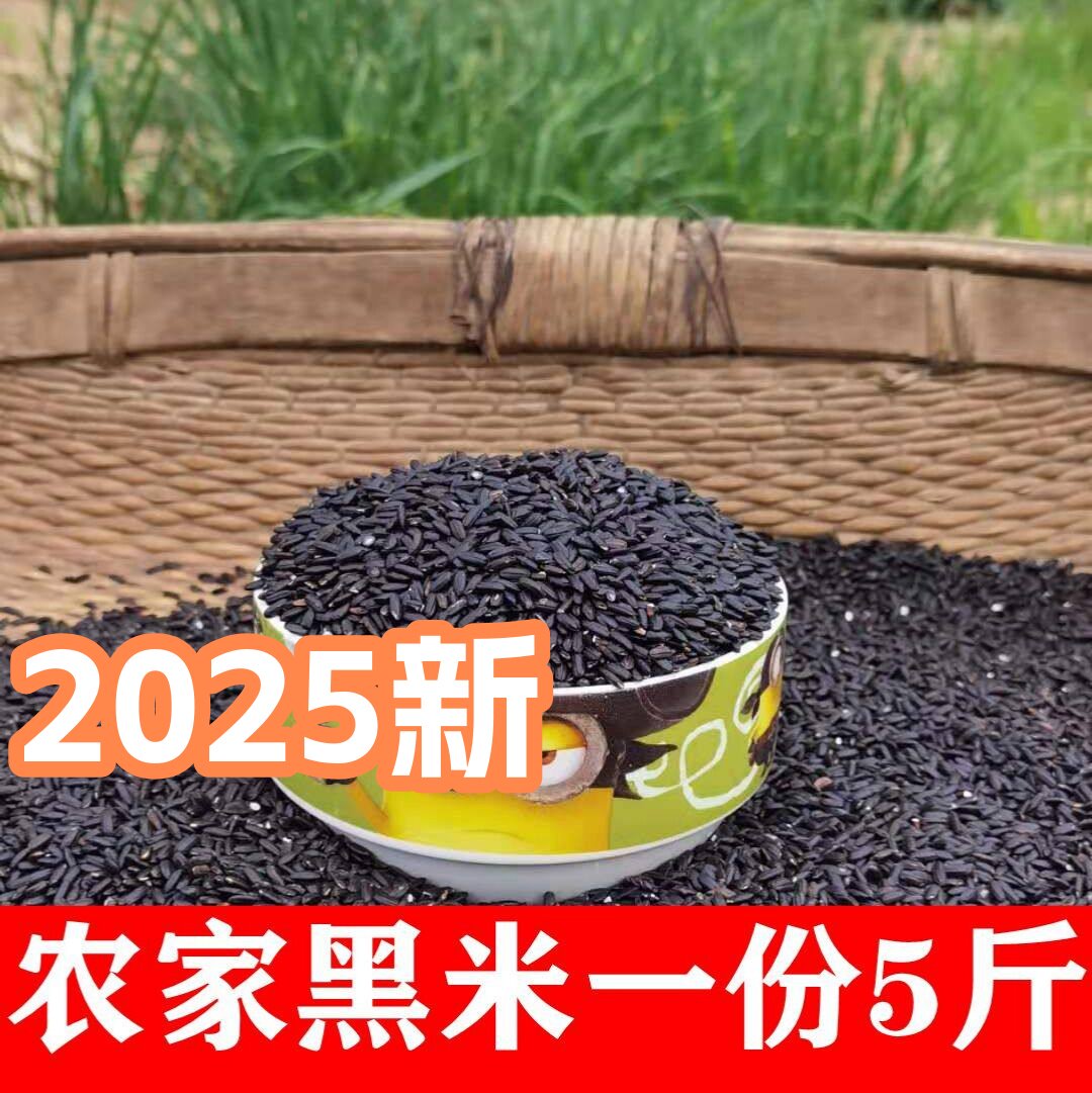 陕西农家自产黑米黑糯米洋县血糯米五谷杂粮粗粮饭食用黑米粥5斤