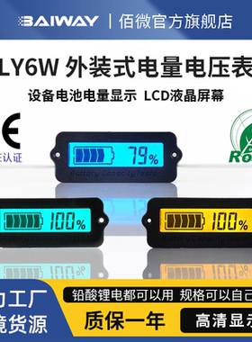 12V24V36V48V60V三元锂电池铅酸蓄电池电量显示器电压电量表LY6W