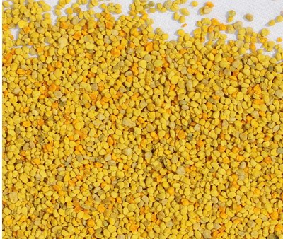 油菜花粉养蜂工具