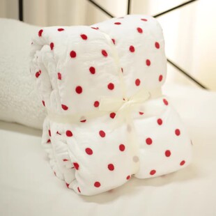 出口加厚波点法兰绒毛毯 加厚冬天绒床单沙发盖毯
