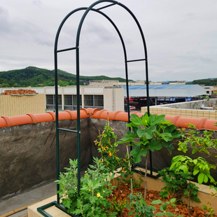 饰 拱门花架爬藤架花园月季 花支架铁线莲绿萝植物架户外花门庭院装