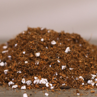 朱顶红专用营养土4 4.5斤装