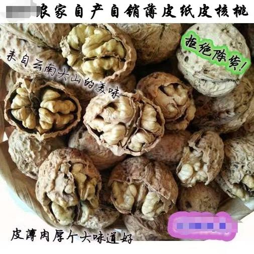 25年云南核桃新货纸皮薄皮核桃野生核桃孕妇手剥核桃黑桃原味包邮