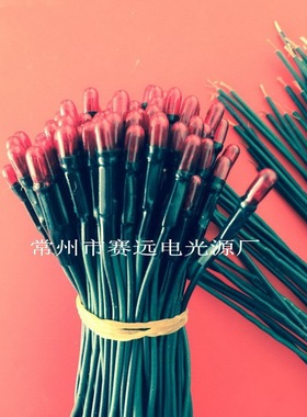 赛远电光源 微型灯泡  红光 12V 60MA  接线  A1095 高品质