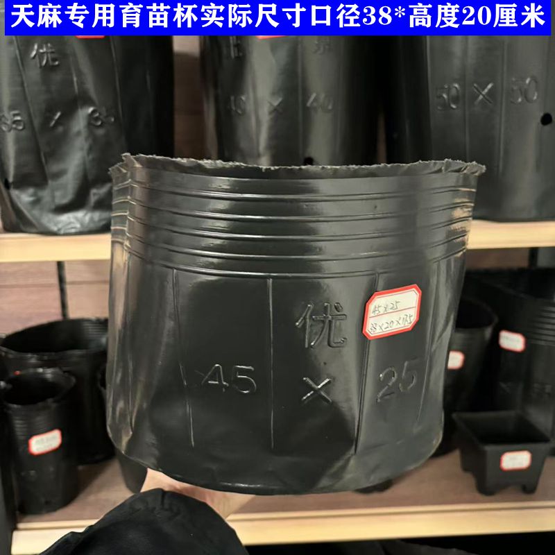 天麻桶育苗盆加厚塑料蓝莓育苗营养袋营养杯魔芋种植袋抗老化花盆