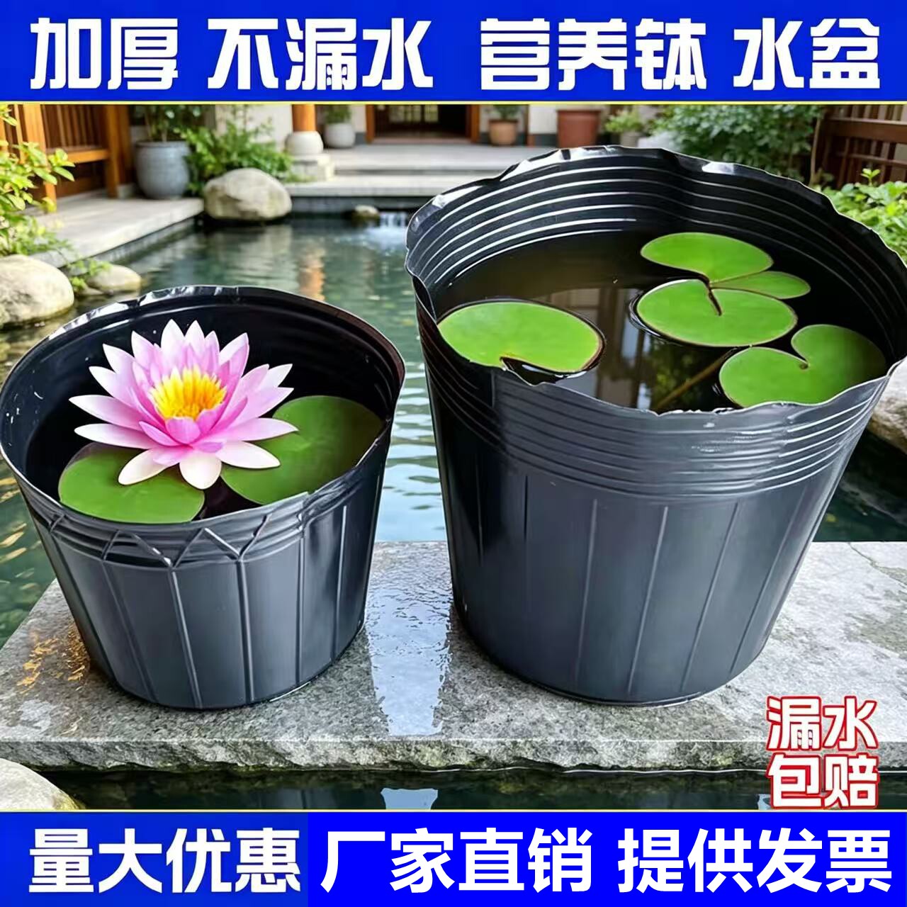 荷花盆营养钵碗莲睡莲荷花盆无孔育苗杯塑料荷花盆水培育苗盆花盆