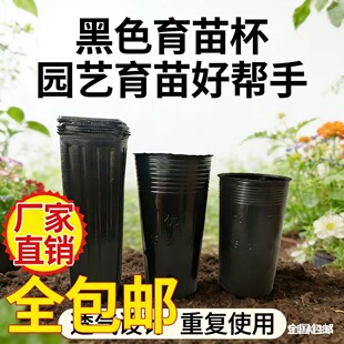 树苗育苗盆黑色塑料育苗杯园艺植物细高营养钵加厚花卉种植桶大号