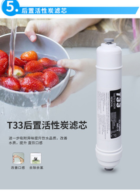 LSD朗诗德50AB净水器通用滤芯11寸 RO50/RO75/80A纯水机后置滤芯