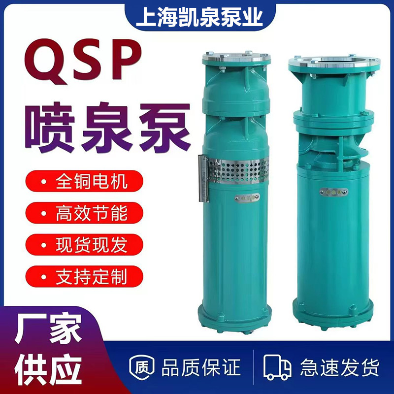 上海凯泉304不锈钢喷泉泵QS水泵