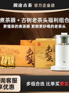 云米小白灵煮茶器泡茶机全自动小型米白蒸汽喷淋式茶炉蒸茶器套装