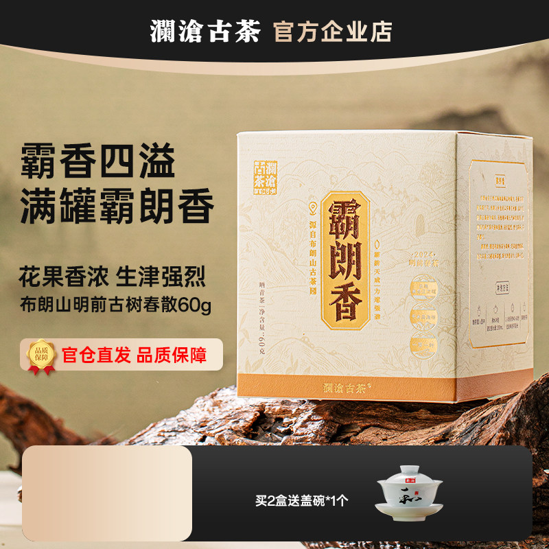 澜沧古茶2024年霸朗香明前古树纯料春茶布朗山霸气野韵普洱茶生茶