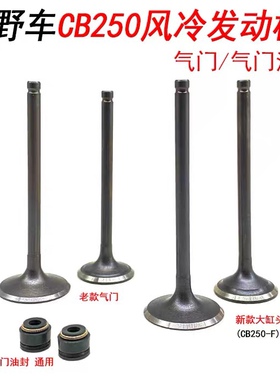 宗申白板机CB250 新款大缸头越野车发动机进排气门 气门油封 锁夹
