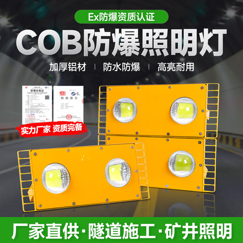 led防爆灯低压36V220V户外隧道灯工地厂房冷库煤矿防水模组投光灯