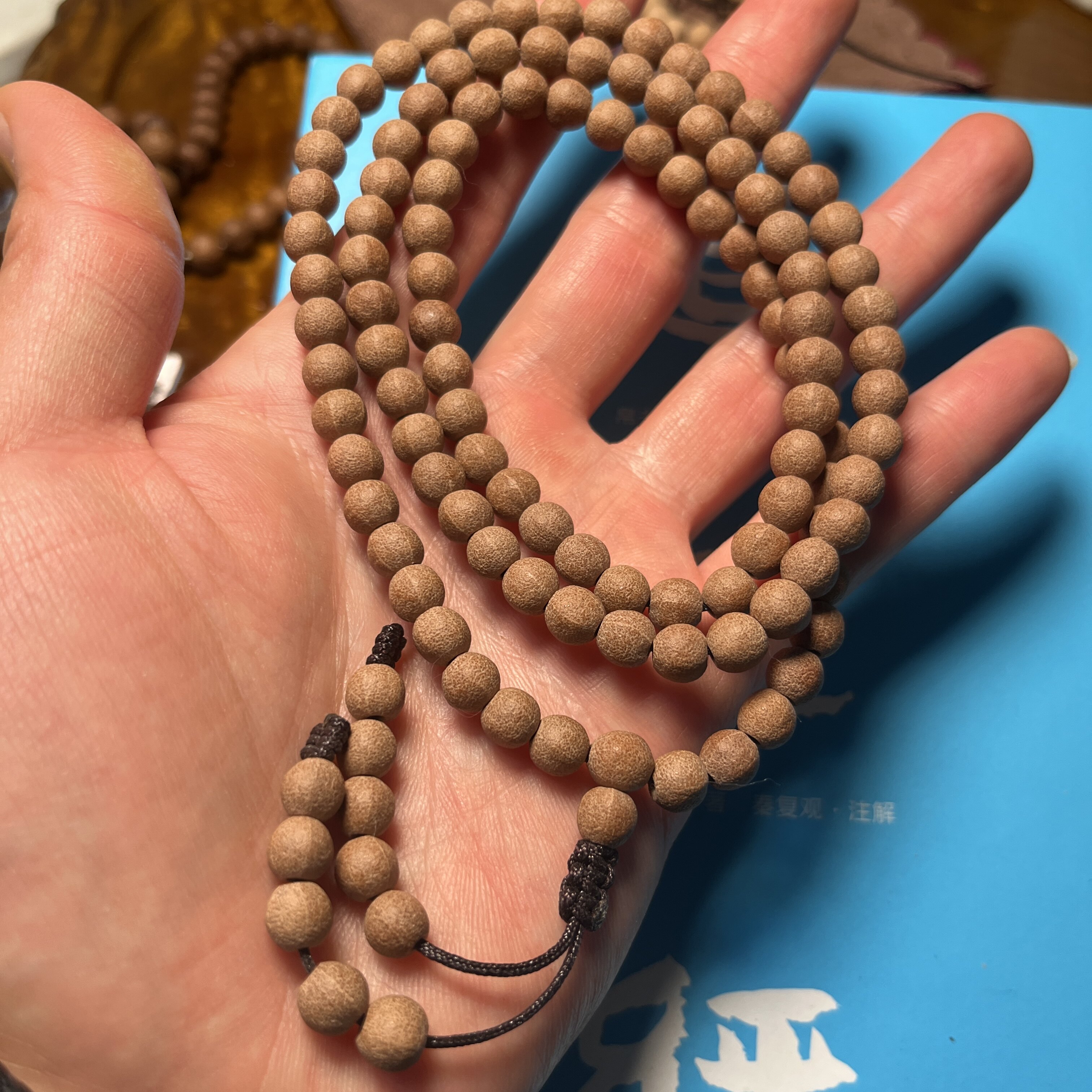野生古树籽老陈籽五线菩提念珠天台五线菩提红皮6.5mm108颗佛珠