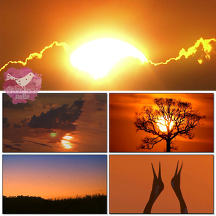 最美夕阳红歌曲配乐TV重阳节黄昏日落舞台大屏幕LED背景视频素材