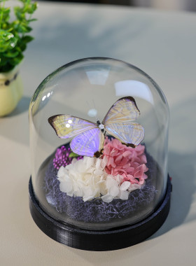 机械蝴蝶会动真蝴蝶标本玻璃罩摆件手工生日礼物情人节