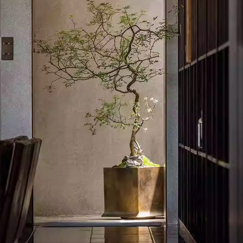 新中式茶室黄荆树盆栽摆件