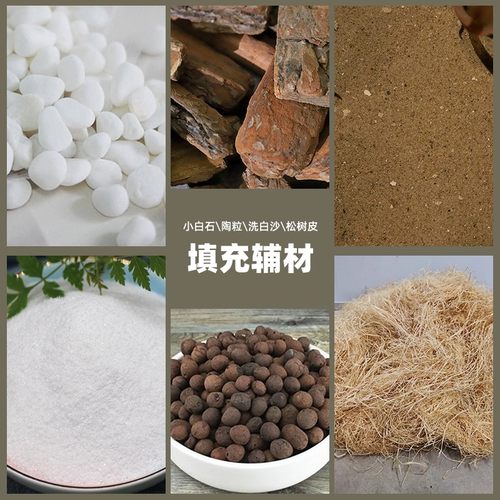 铺面小石子拉菲草填充植物装饰