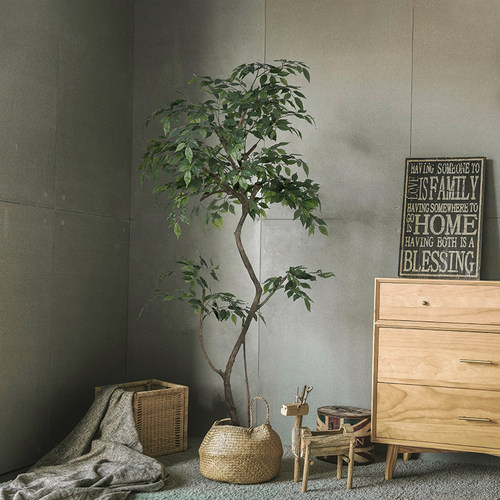 仿真绿植室内真树杆植物落地盆栽