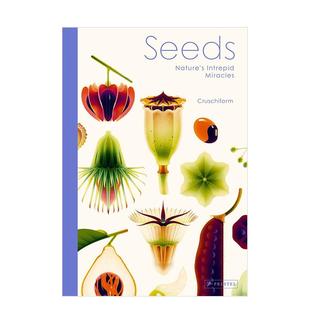 【现货】种子：无畏的自然奇迹 Seeds原版英文儿童绘本 手绘植物标本集 自然科普 艺术画册 手绘植物标本集 自然科普 艺术画册