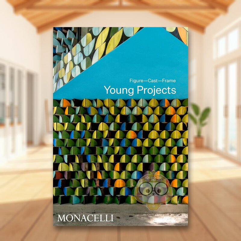 【预售】纽约Young Projects建筑事务所：塑形·铸材·构架 Young Projects 原版英文建筑设计进口书籍图书外版正版