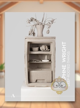 【预售】阿什莫林当代展4：达芙妮·莱特—沙发上的儿子们 Ashmolean NOW 4: Daphne Wright 原版英文艺术画册画集进口书籍图书外