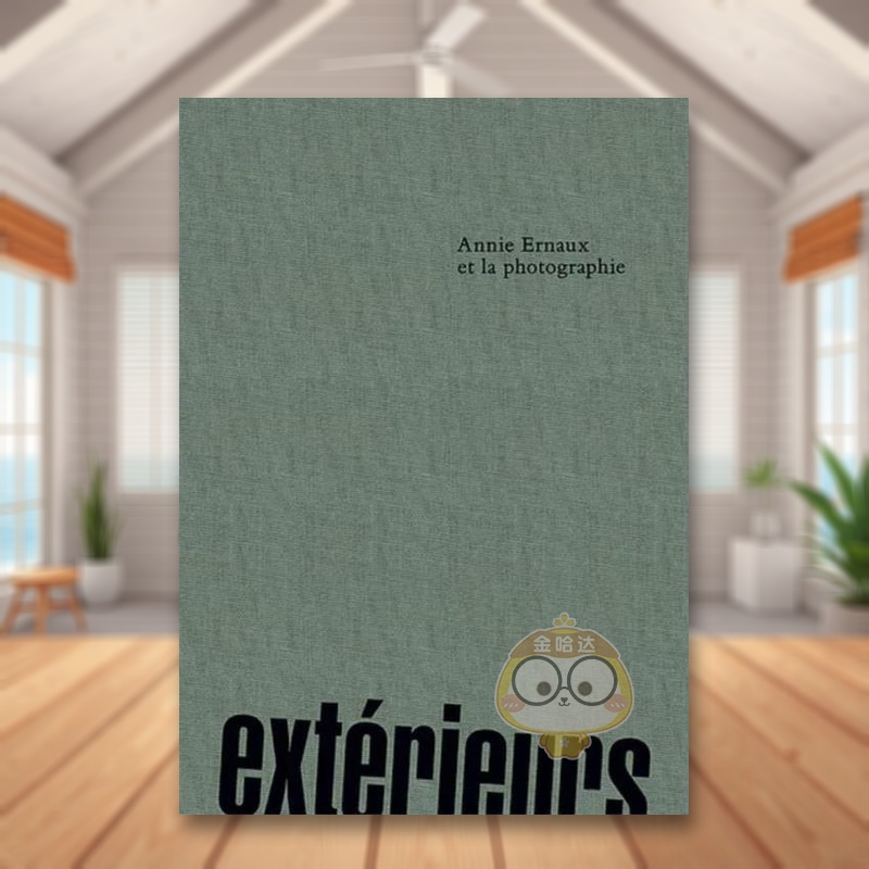 景象:安妮·埃尔诺与MEP摄影